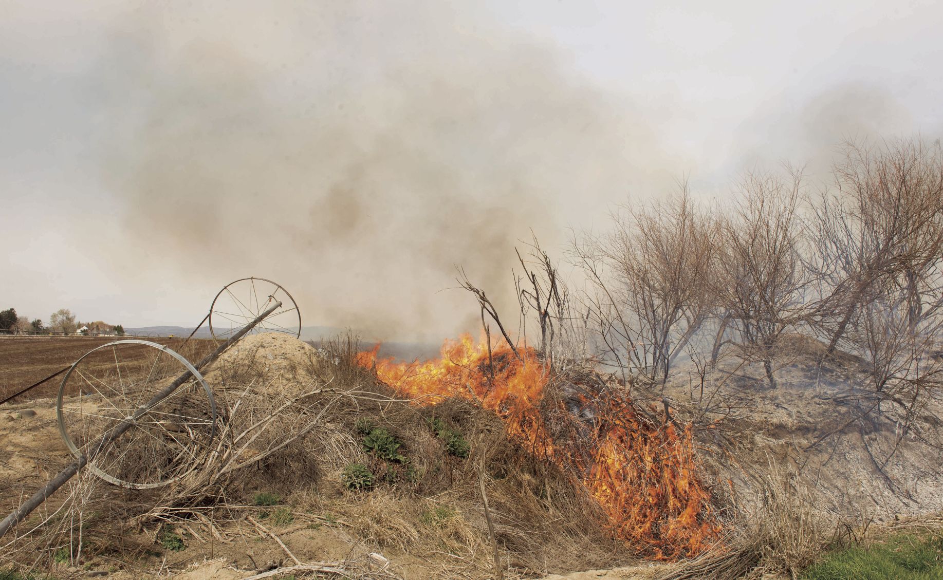 Brush fire breaks out near Sunnyside, no homes damaged